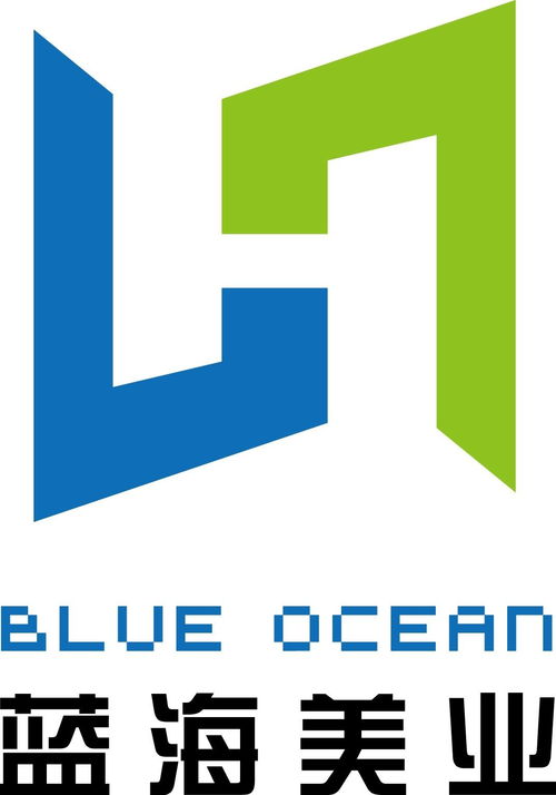 藍海美業 北京 國際投資管理
